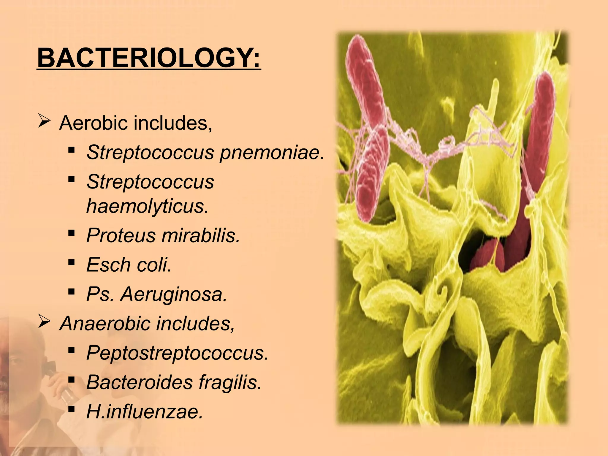 BACTERIOLOGY:

 Aerobic includes,
    Streptococcus pnemoniae.
    Streptococcus
     haemolyticus.
    Proteus mirabilis.
    Esch coli.
    Ps. Aeruginosa.
 Anaerobic includes,
    Peptostreptococcus.
    Bacteroides fragilis.
    H.influenzae.
 