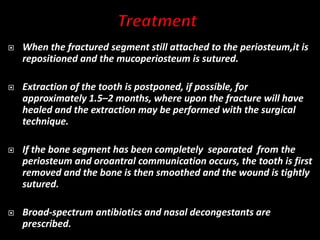  When the fractured segment still attached to the periosteum,it is
repositioned and the mucoperiosteum is sutured.
 Extraction of the tooth is postponed, if possible, for
approximately 1.5–2 months, where upon the fracture will have
healed and the extraction may be performed with the surgical
technique.
 If the bone segment has been completely separated from the
periosteum and oroantral communication occurs, the tooth is first
removed and the bone is then smoothed and the wound is tightly
sutured.
 Broad-spectrum antibiotics and nasal decongestants are
prescribed.
 