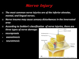  The most common nerve injuries are of the inferior alveolar,
mental, and lingual nerves.
 Nerve trauma may cause sensory disturbances in the innervated
area
 According to Seddon’s classification of nerve injuries, there are
three types of nerve damage:
 neurapraxia
 axonotmesis
 neurotmesis
 