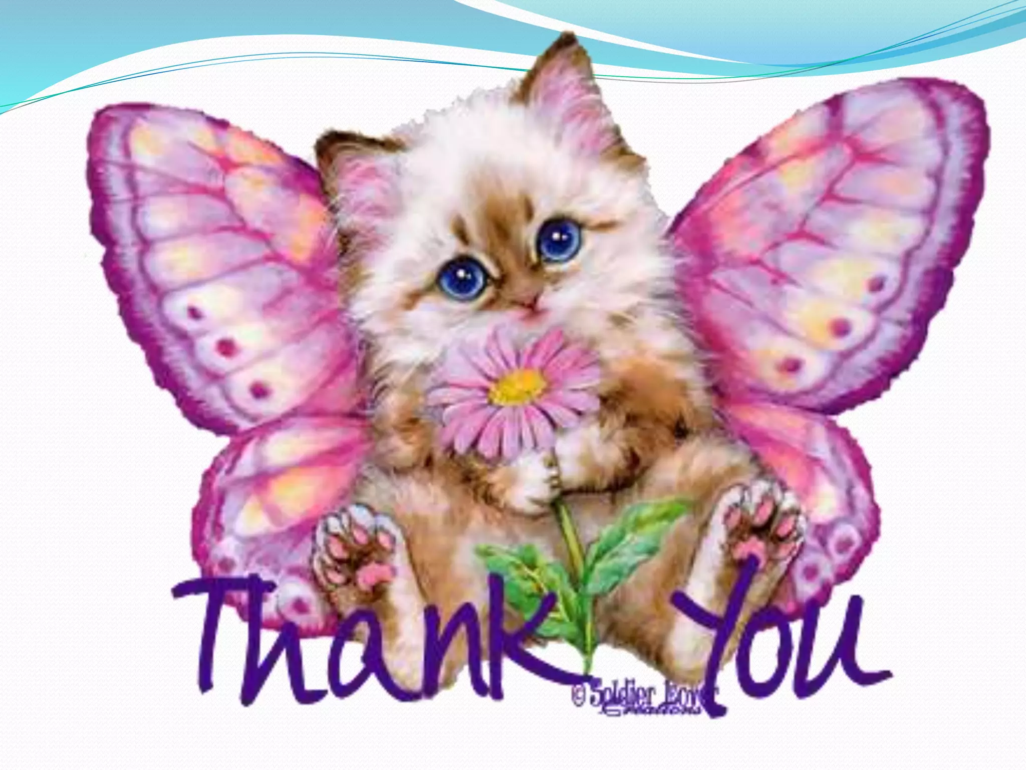 Complications of third stage of labour