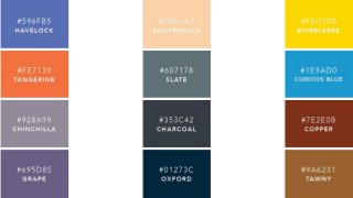 Complimentary color palettes 