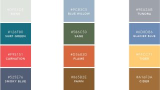 Complimentary color palettes 