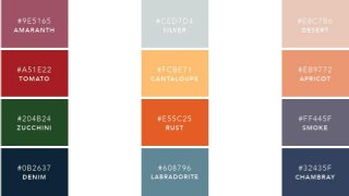 Complimentary color palettes 