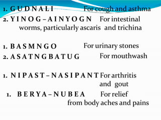 1. G U D N A L I For cough and asthma
2. Y I N O G – A I N Y O G N For intestinal
worms, particularly ascaris and trichina
1. B A S M N G O
2. A S A T N G B A T U G
For urinary stones
For mouthwash
1. N I P A S T – N A S I P A N T For arthritis
and gout
1. B E R Y A – N U B E A For relief
from body aches and pains
 