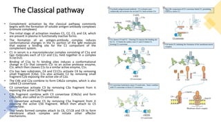 Complement system | PPTX