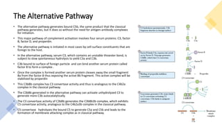 Complement system | PPTX
