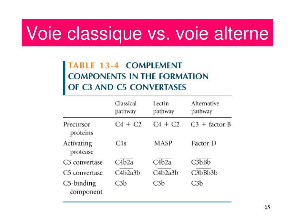Complément cours 3.pdf1779176883