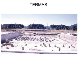                          TERMAS 