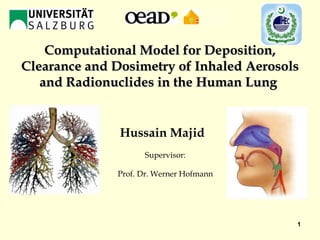 Hussain Majid  Supervisor: Prof. Dr. Werner Hofmann Computational   Model for Deposition, Clearance and Dosimetry of Inhaled Aerosols and Radionuclides in the Human Lung  