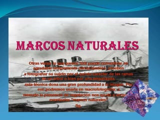 Compocicions de imagen