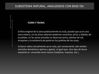 SUBSISTEMA NATURAL, ANALIZADOS CON BASE EN:
FLORA Y FAUNA:
la flora original de la zona prácticamente es nula, puesto que ya es una
zona urbana, en las áreas abiertas podemos encontrar pinos y árboles de
eucalipto. en las zonas privadas se observan pinos, plantas de sol,
arrayanes y la existencia de pasto en los jardines de las casas.
la fauna nativa actualmente ya es nula, por consecuente solo existen
animales domésticos (perros y gatos), al igual que otro tipo de fauna
existente es conocida como nociva (roedores, insectos, etc.).
 