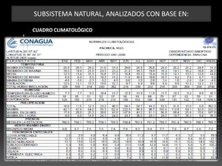 SUBSISTEMA NATURAL, ANALIZADOS CON BASE EN:
CUADRO CLIMATOLÓGICO
 