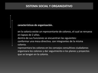 SISTEMA SOCIAL Y ORGANIZATIVO
características de organización.
en la colonia existe un representante de colonos, el cual se renueva
en lapsos de 2 años.
dentro de sus funciones se encuentran las siguientes:
conformar una mesa directiva. con integrantes de la misma
colonia.
representara los colonos en los consejos consultivos ciudadanos
organizara los colonos y dar seguimiento o los planes y proyectos
que se tengan en la colonia.
 
