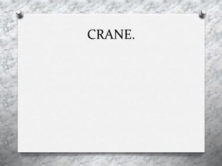 CRANE.
 