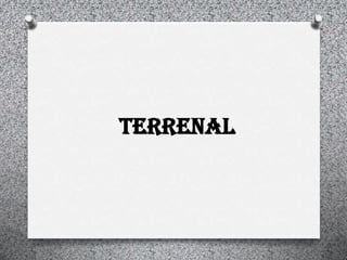 Terrenal
 