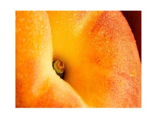 Composicion de la imagen