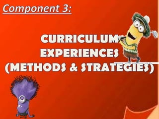 Component 3 curriculum experiences