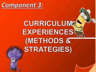 Component 3 curriculum experiences