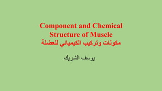 Component and Chemical
Structure of Muscle
‫للعضلة‬ ‫الكيميائي‬ ‫وتركيب‬ ‫مكونات‬
‫الشريك‬ ‫يوسف‬
 