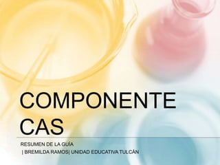 COMPONENTE
CAS
RESUMEN DE LA GUÍA
| BREMILDA RAMOS| UNIDAD EDUCATIVA TULCÁN
 