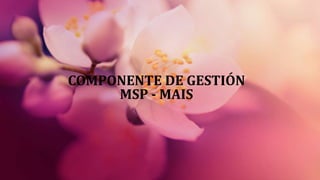 COMPONENTE DE GESTIÓN
MSP - MAIS
 