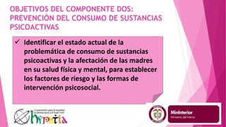 OBJETIVOS DEL COMPONENTE DOS:
PREVENCIÓN DEL CONSUMO DE SUSTANCIAS
PSICOACTIVAS
 Identificar el estado actual de la
problemática de consumo de sustancias
psicoactivas y la afectación de las madres
en su salud física y mental, para establecer
los factores de riesgo y las formas de
intervención psicosocial.
 