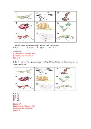 De los seres vivos que dibujó Manuel, son herbívoros
A. 9 y 2
B. 5 y 1
C. 8 y 6
D. 1 y 2
Grado: 4º
Componente: Entorno Vivo
Competencia: Identificar
Clave: B
8. De los seres vivos que aparecen en la gráfica anterior, ¿cuáles producen su
propio alimento?

A. 9 y 2
B. 5 y6
C. 8 y 6
D. 1 y 5
Grado: 4º
Componente: Entorno Vivo
Competencia: Identificar
Clave: C

 