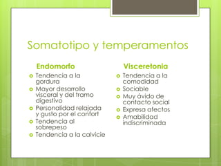 Somatotipo y temperamentos
Endomorfo
 Tendencia a la
gordura
 Mayor desarrollo
visceral y del tramo
digestivo
 Personalidad relajada
y gusto por el confort
 Tendencia al
sobrepeso
 Tendencia a la calvicie
Visceretonia
 Tendencia a la
comodidad
 Sociable
 Muy ávido de
contacto social
 Expresa afectos
 Amabilidad
indiscriminada
 