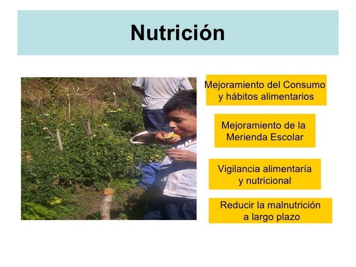 Resultado de imagen para Huertos escolares: Mejoramiento de HÃ¡bitos nutricionales