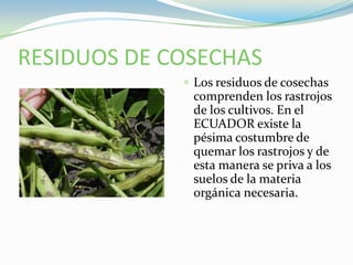 RESIDUOS DE COSECHASLos residuos de cosechas comprenden los rastrojos de los cultivos. En el ECUADOR existe la pésima costumbre de quemar los rastrojos y de esta manera se priva a los suelos de la materia orgánica necesaria.