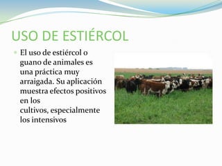 USO DE ESTIÉRCOLEl uso de estiércol o guano de animales es una práctica muy arraigada. Su aplicación muestra efectos positivos en los cultivos, especialmente los intensivos