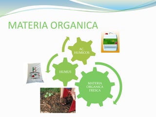 MATERIA ORGANICA