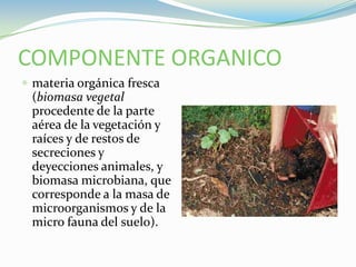 COMPONENTE ORGANICOmateria orgánica fresca (biomasa vegetal procedente de la parte aérea de la vegetación y raíces y de restos de secreciones y deyecciones animales, y biomasa microbiana, que corresponde a la masa de microorganismos y de la micro fauna del suelo).