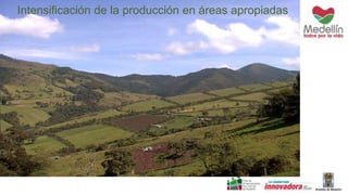 Intensificación de la producción en áreas apropiadas
 