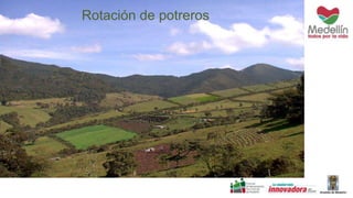 Rotación de potreros
 