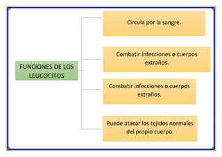 FUNCIONES DE LOS
LEUCOCITOS
Circula por la sangre.
Combatir infecciones o cuerpos
extraños.
Combatir infecciones o cuerpos
extraños.
Puede atacar los tejidos normales
del propio cuerpo.
 