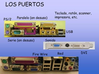 LOS PUERTOS
Serie (en desuso)
Paralelo (en desuso)
USB
PS/2
Teclado, ratón, scanner,
impresora, etc.
Sonido
Fire Wire Red DVI
 