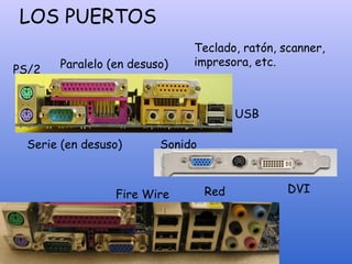 LOS PUERTOS
Serie (en desuso)
Paralelo (en desuso)
USB
PS/2
Teclado, ratón, scanner,
impresora, etc.
Sonido
Fire Wire Red DVI
 