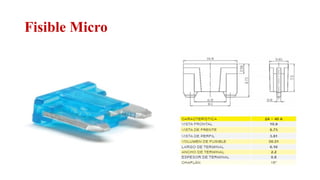Fisible Micro
Relator: Roberto Montes
 