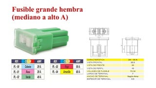 Fusible grande hembra
(mediano a alto A)
Relator: Roberto Montes
 