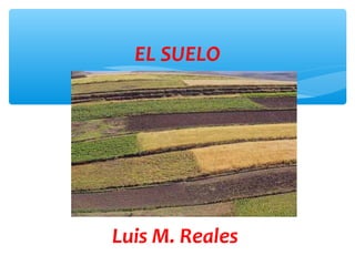 EL SUELO
COMPONENTE SUELO:
Luis M. Reales
 