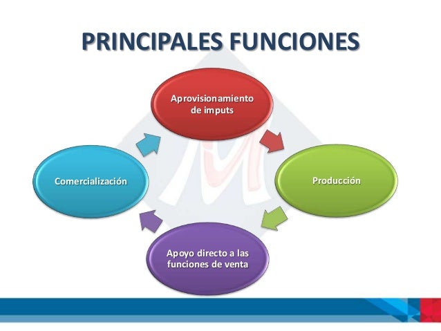 Componentes basicos de la estructura organizativa
