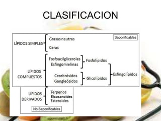 CLASIFICACION 
 