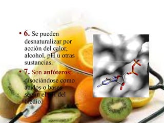 • 6. Se pueden 
desnaturalizar por 
acción del calor, 
alcohol, pH u otras 
sustancias. 
• 7. Son anfóteros: 
disociándose como 
ácidos o bases 
según el pH del 
medio. 
 