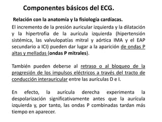 Componentes básicos del ECG.
Relación con la anatomía y la fisiología cardíacas.
El incremento de la presión auricular izquierda y la dilatación
y la hipertrofia de la aurícula izquierda (hipertensión
sistémica, las valvulopatías mitral y aórtica IMA y el EAP
secundario a ICI) pueden dar lugar a la aparición de ondas P
altas y melladas (ondas P mitrales).
También pueden deberse al retraso o al bloqueo de la
progresión de los impulsos eléctricos a través del tracto de
conducción interauricular entre las aurículas D e I.
En efecto, la aurícula derecha experimenta la
despolarización significativamente antes que la aurícula
izquierda y, por tanto, las ondas P combinadas tardan más
tiempo en aparecer.
 