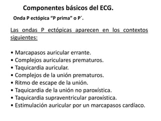 Componentes básicos del ECG.
Onda P ectópica “P prima” o P´.
Las ondas P ectópicas aparecen en los contextos
siguientes:
• Marcapasos auricular errante.
• Complejos auriculares prematuros.
• Taquicardia auricular.
• Complejos de la unión prematuros.
• Ritmo de escape de la unión.
• Taquicardia de la unión no paroxística.
• Taquicardia supraventricular paroxística.
• Estimulación auricular por un marcapasos cardíaco.
 