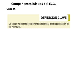 Componentes básicos del ECG.
Onda U.
 