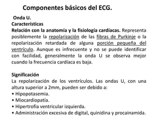 Componentes básicos del ECG.
Onda U.
Características
Relación con la anatomía y la fisiología cardíacas. Representa
posiblemente la repolarización de las fibras de Purkinje o la
repolarización retardada de alguna porción pequeña del
ventrículo. Aunque es infrecuente y no se puede identificar
con facilidad, generalmente la onda U se observa mejor
cuando la frecuencia cardíaca es baja.
Significación
La repolarización de los ventrículos. Las ondas U, con una
altura superior a 2mm, pueden ser debido a:
• Hipopotasemia.
• Miocardiopatía.
• Hipertrofia ventricular izquierda.
• Administración excesiva de digital, quinidina y procainamida.
 