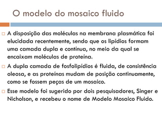 O modelo do mosaico fluido
   A disposição das moléculas na membrana plasmática foi
    elucidada recentemente, sendo que os lipídios formam
    uma camada dupla e contínua, no meio da qual se
    encaixam moléculas de proteína.
   A dupla camada de fosfolipídios é fluida, de consistência
    oleosa, e as proteínas mudam de posição continuamente,
    como se fossem peças de um mosaico.
   Esse modelo foi sugerido por dois pesquisadores, Singer e
    Nicholson, e recebeu o nome de Modelo Mosaico Fluido.
 
