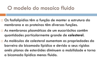 O modelo do mosaico fluido
   Os fosfolipídios têm a função de manter a estrutura da
    membrana e as proteínas têm diversas funções.
   As membranas plasmáticas de um eucariócitos contêm
    quantidades particularmente grande de colesterol.
   As moléculas de colesterol aumentam as propriedades da
    barreira da bicamada lipídica e devido a seus rígidos
    anéis planos de esteróides diminuem a mobilidade e torna
    a bicamada lipídica menos fluida.
 